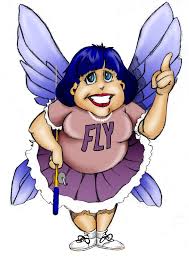 Método Fly Lady é um dos métodos de organização que recomendo